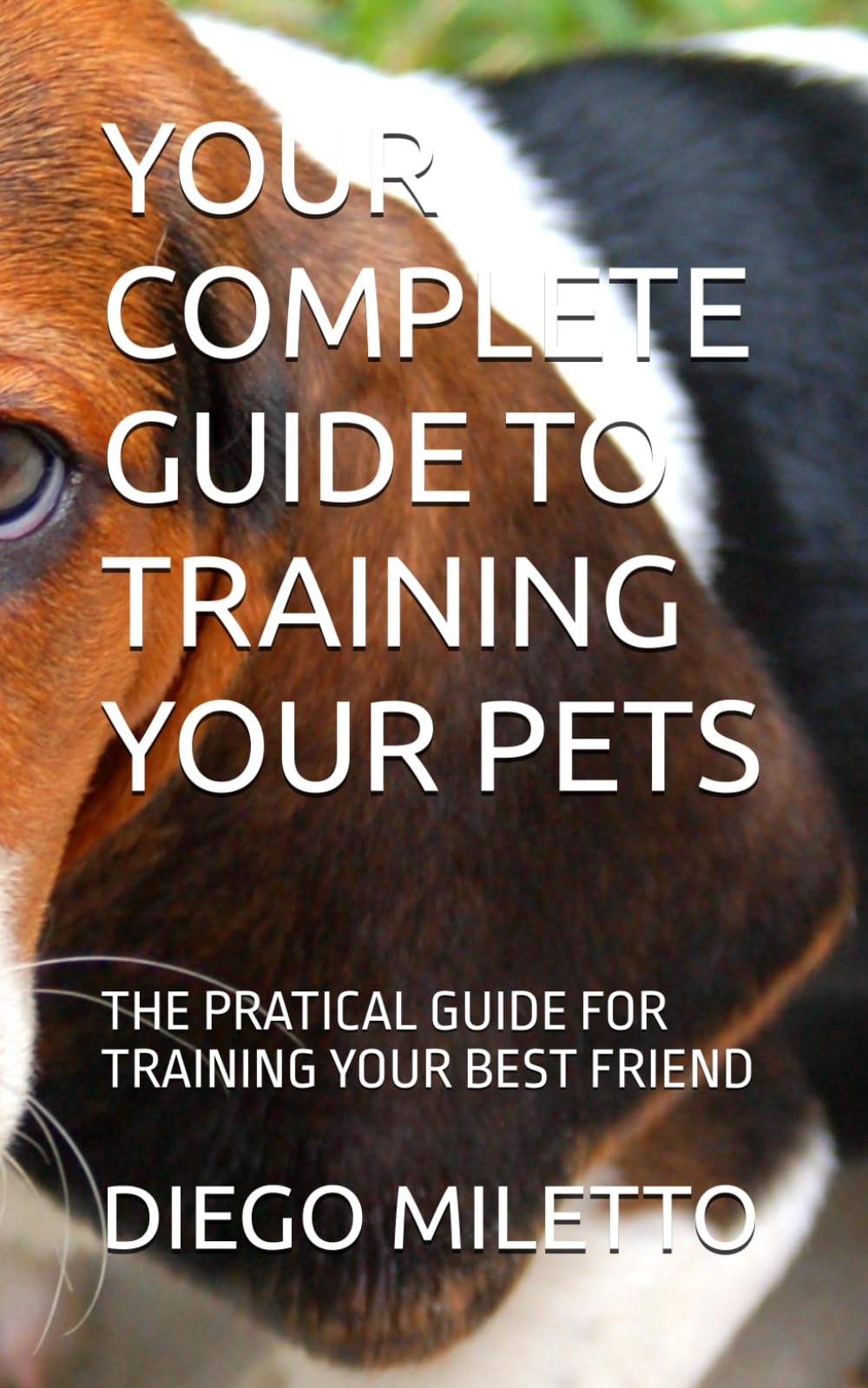 YOUR COMPLETE GUIDE TO TRAINING YOUR PETS: THE PRATICAL GUIDE FOR TRAINING YOUR BEST FRIEND