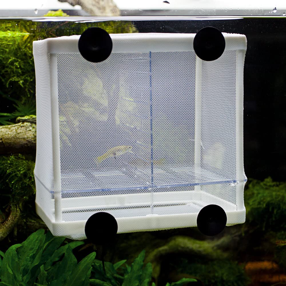 Hobby Nido 3.1 (16 x 16 x 14 cm)