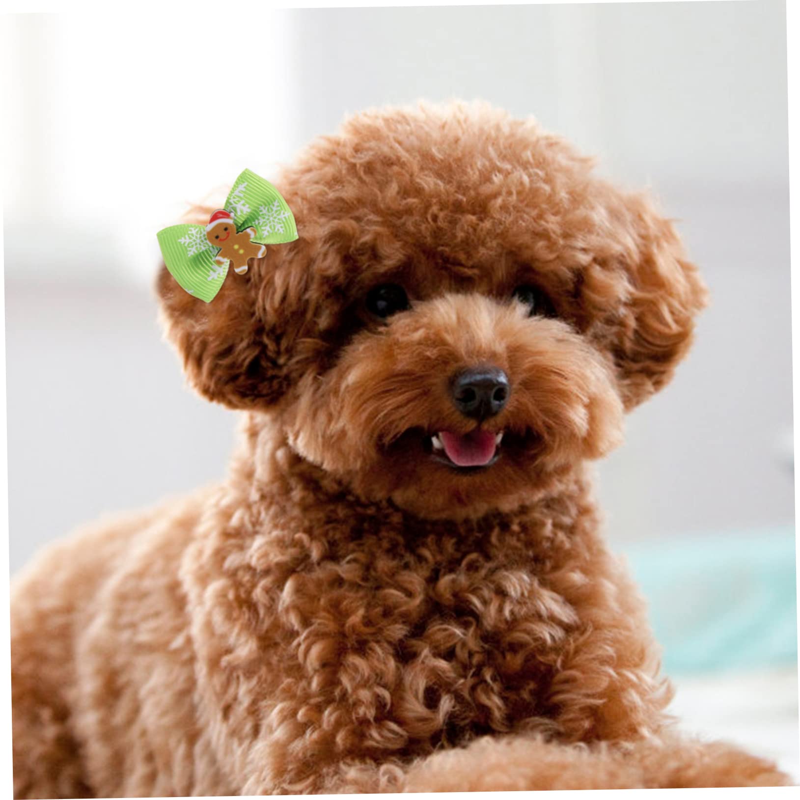 COLLBATH Fiocco Natale Cane 300 Pz Porta di Animali Domestici Fiocco di Cane Fiocchi di Cane di Natale Fascia per di Natale Corda per di Animali Domestici Fiocco di Natale per Cani
