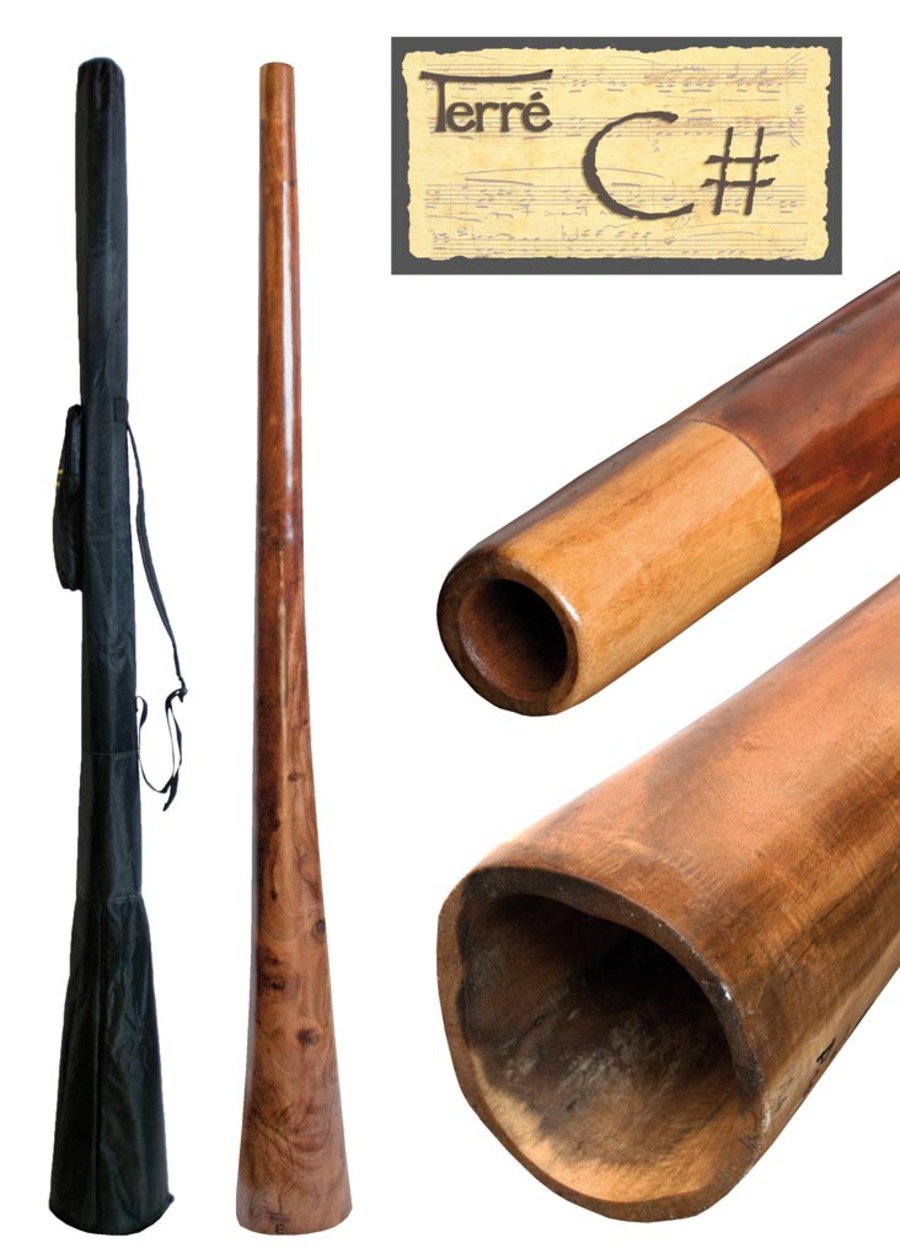 Amazon.com: Didgeridoo Sandwich 72 inch with bag (Tone Cis