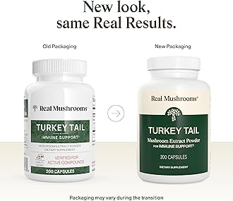 Real Mushrooms Turkey Tail Capsules – Organic Mushroom Extract for Daily Wellness, Gut Harmony, Energy Support – Vegan, Non-GMO, No Fillers – Turkey Tail Extract 200 Count Mushroom Supplement