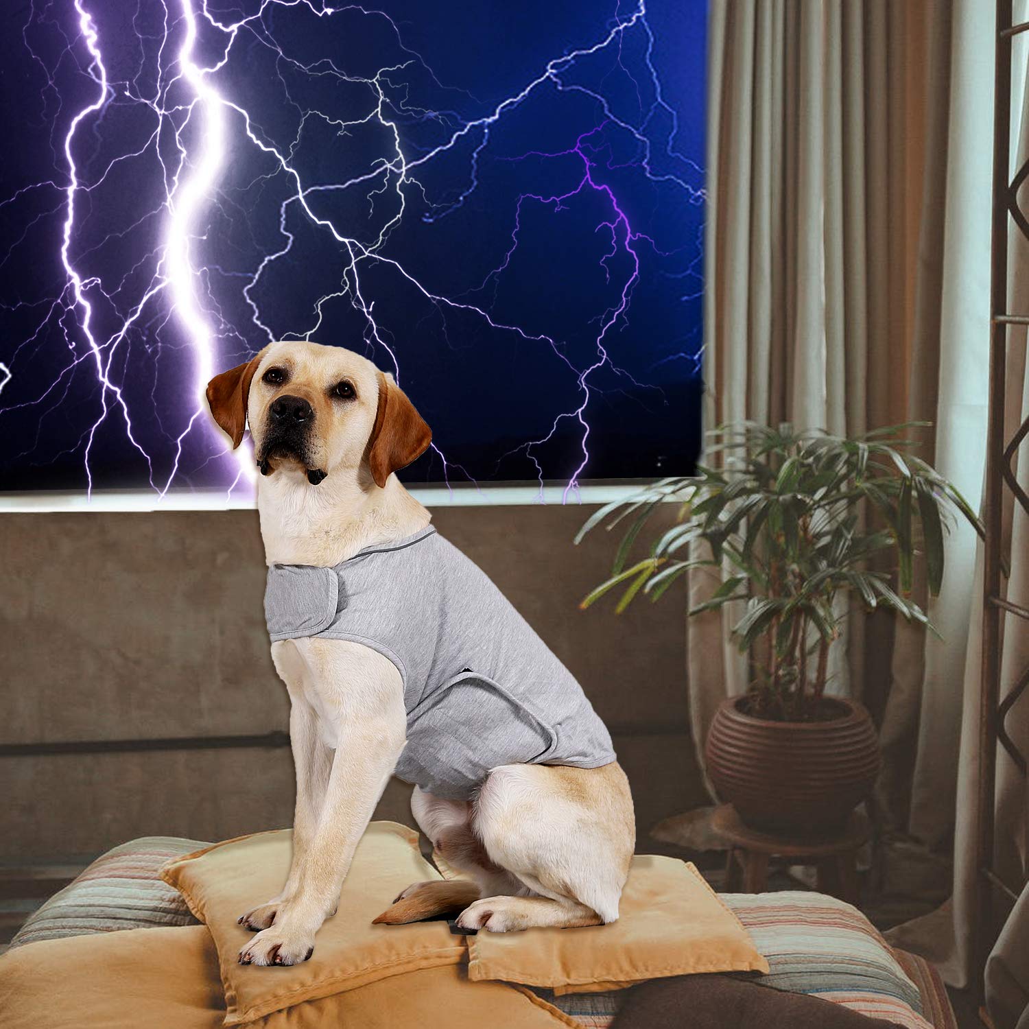 Anxiety Mantel für Hunde, leichte Wickelweste, Hunde-Angstjacke, verwendet zur sofortigen Therapie für Überspannung bei Blitzlicht und Feuerwerk, um beruhigenden Komfort zu halten, L, grau