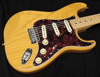 フジゲン　FGN fujigen ストラトキャスター　タイプ　エレキギター Amazon | FGN FUJIGEN NST100MAH VNT Neo Classic SERIES フジゲン