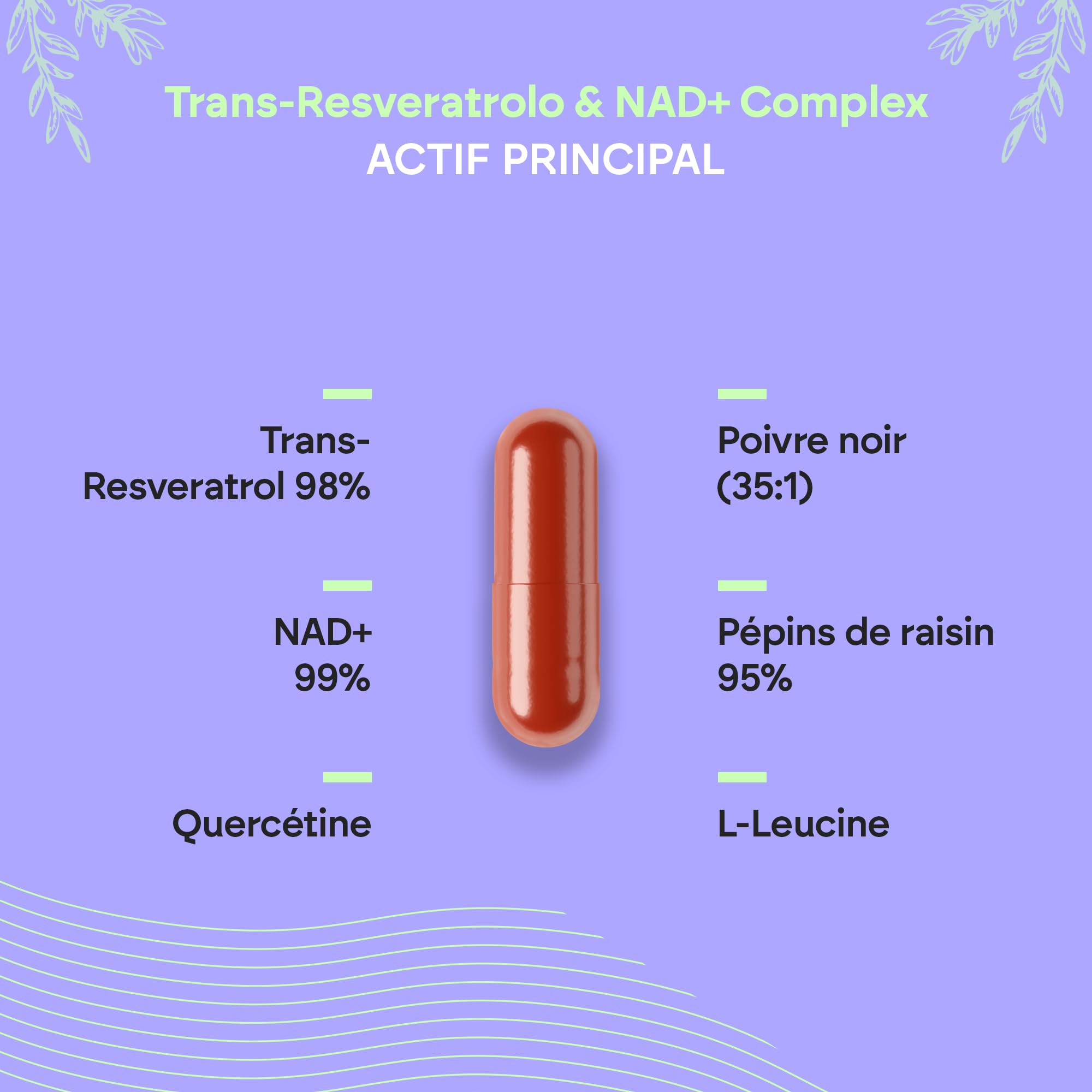 Trans Resvératrol NAD+ 686mg Complex - Quercétine Pipérine Pépins de Raisin (OPC) L-Leucine - Complément Alimentaire Revératrol - 60 Gélules Nutralie