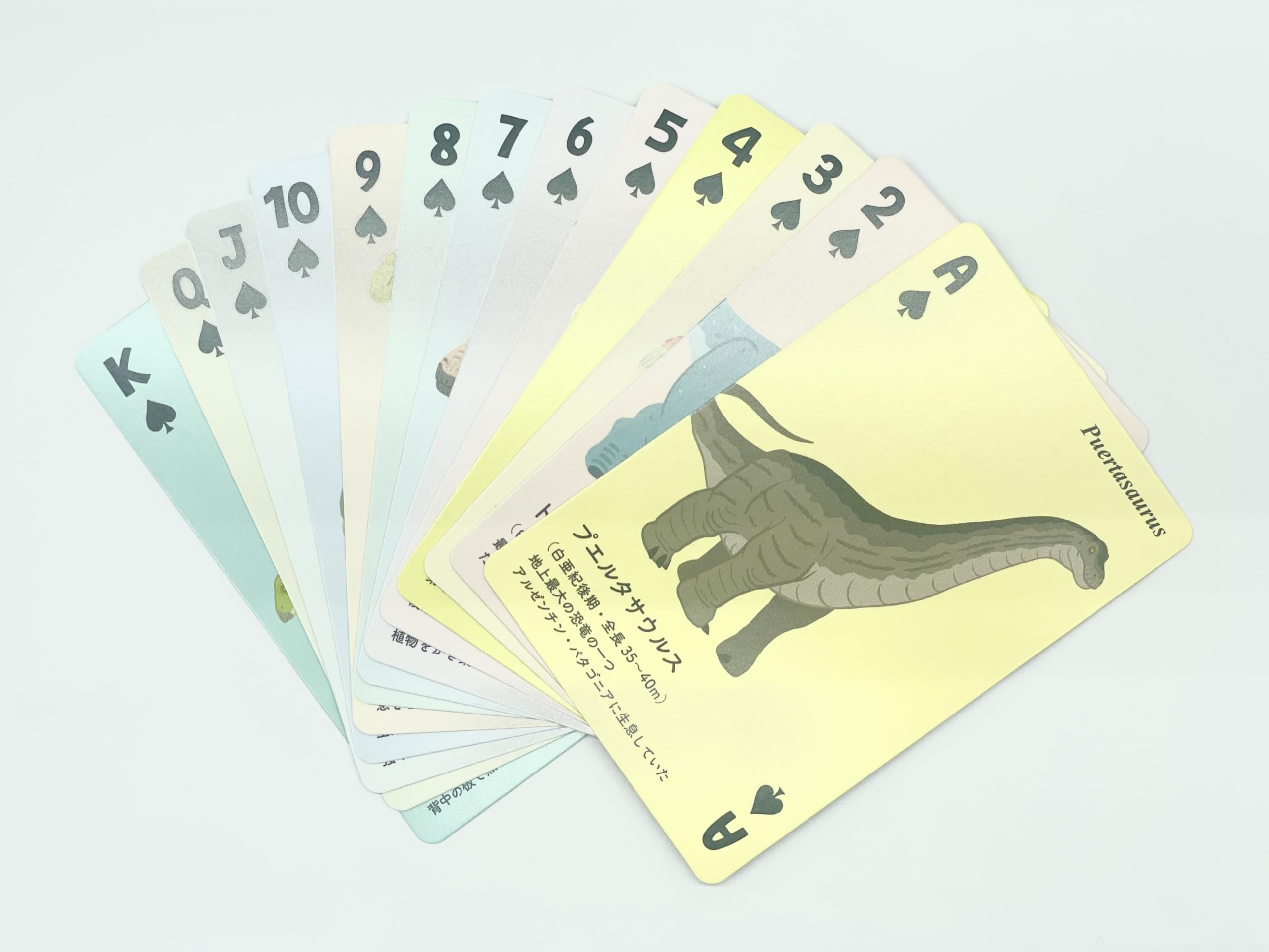 Amazon.co.jp: 子供 カードゲーム (恐竜トランプ 紙製) : おもちゃ