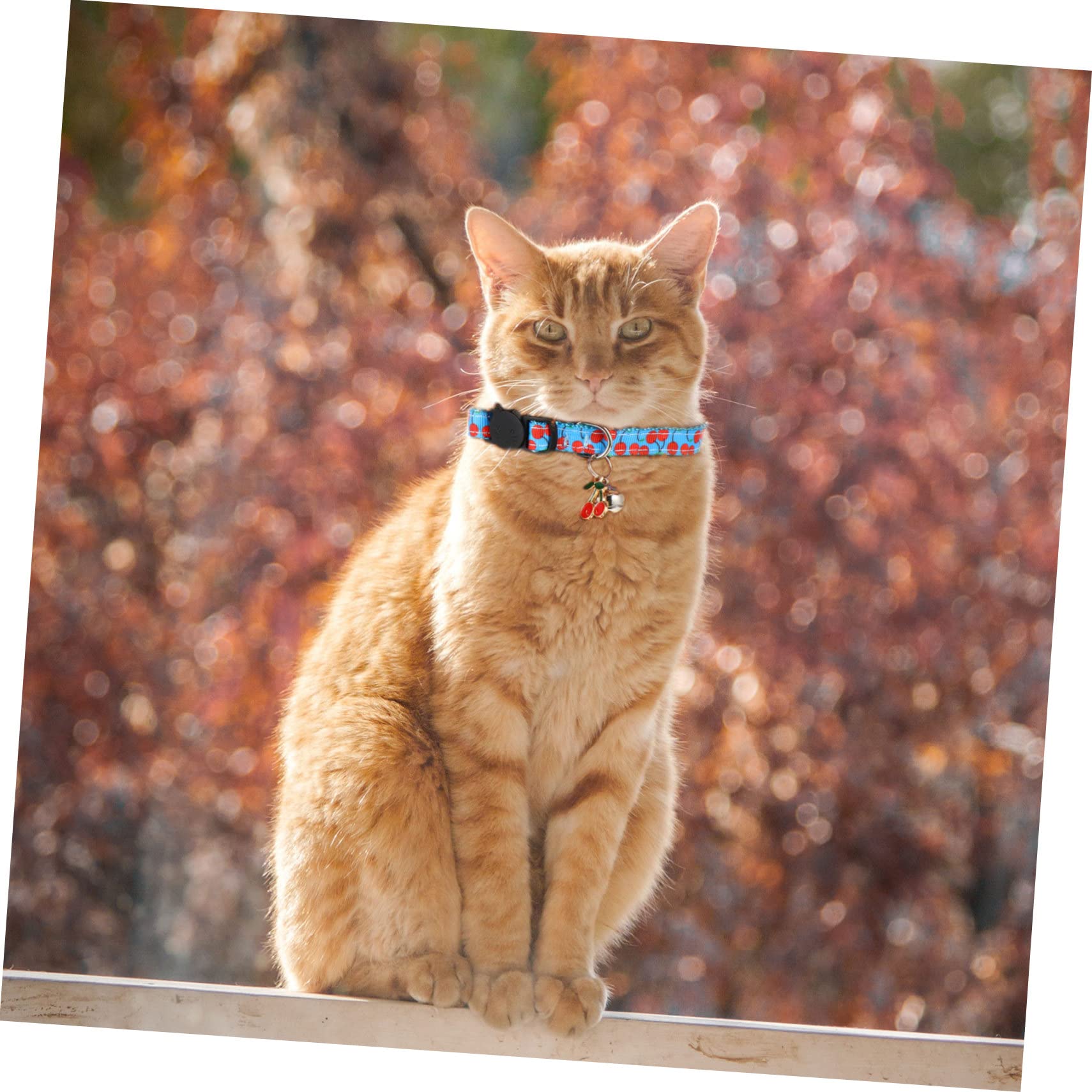 Sosoport 12 Pezzi Collare Per Animali Domestici Con Collari Con Campanello Materiale Comodo Per Gatti