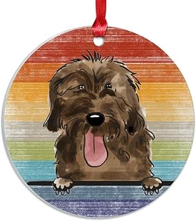 Rainbow Bosnian Broken Haired Hound Dog Ornament for Christmas Watercolor Peeking Dog Mom Pet Christmas Ornaments Gay Dog Dad Gift Christmas Decor Acrylic Ornaments 3in