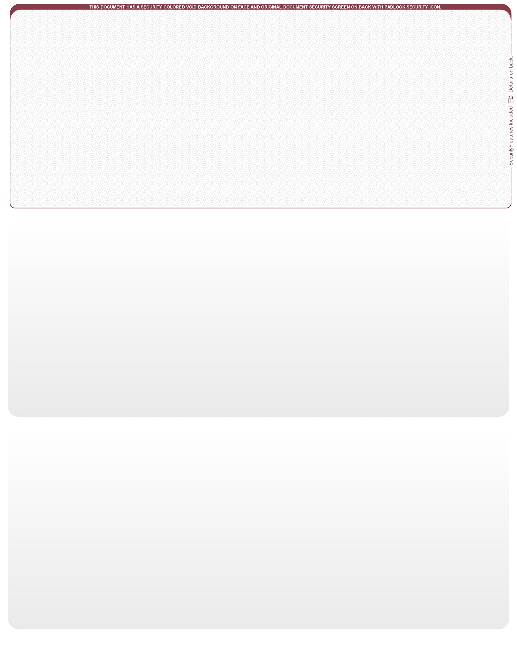 Blank Laser/Computer Checks Top Style (Wallstreet, Qty. 500)