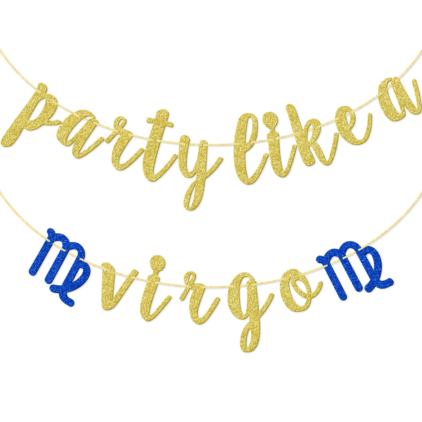 Big Virgo Energy Birthday Banner - Silver Glitter Constellation Party Decor