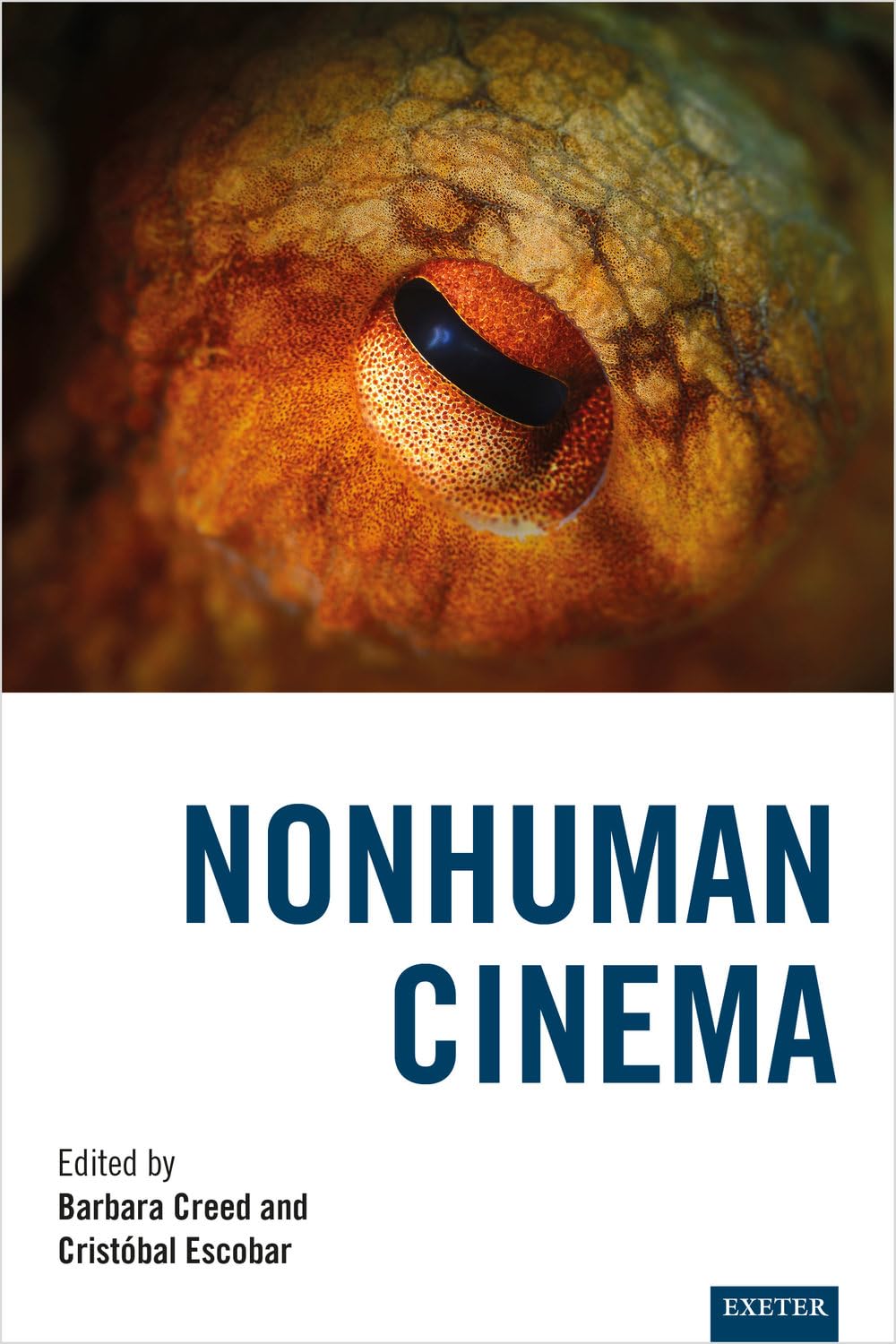 Nonhuman Cinema English Edition livre de cinéma essai académique en anglais