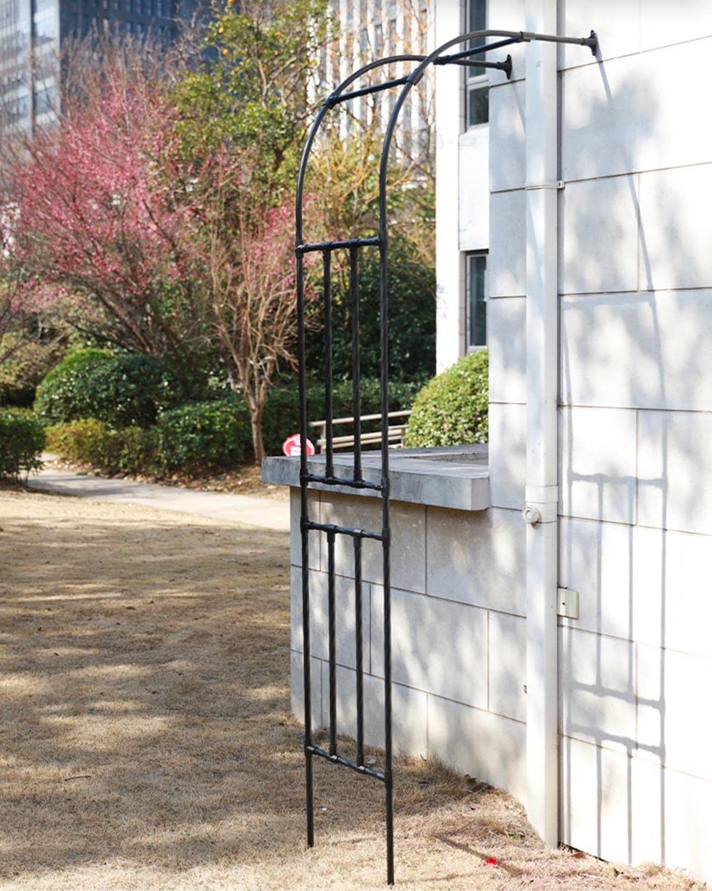 Treillis de jardin en métal pour décoration murale, tonnelle intérieure et extérieure, 60 à 300 cm de large, support pour plantes grimpantes, arche de jardin élégante, parfait pour les vignes et les