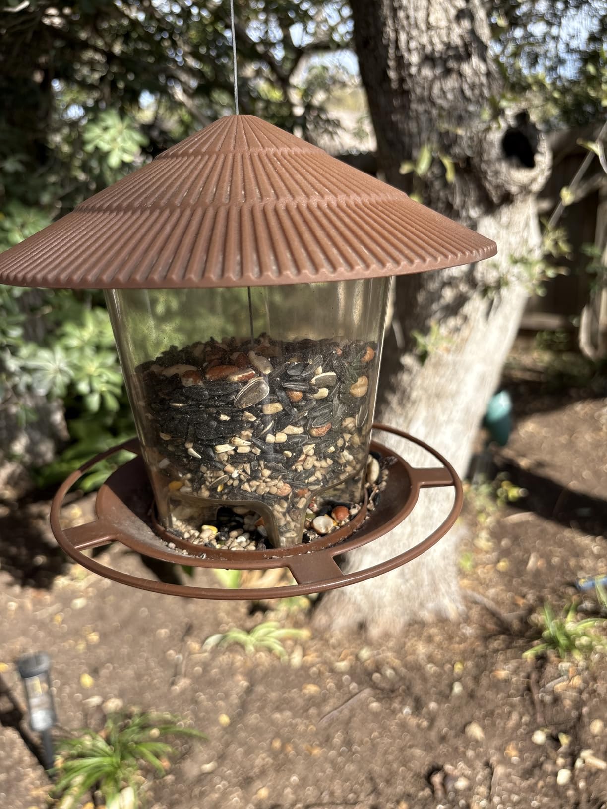 Kaytee Nut & Fruit Wild Bird Seed, 5 lb photo review