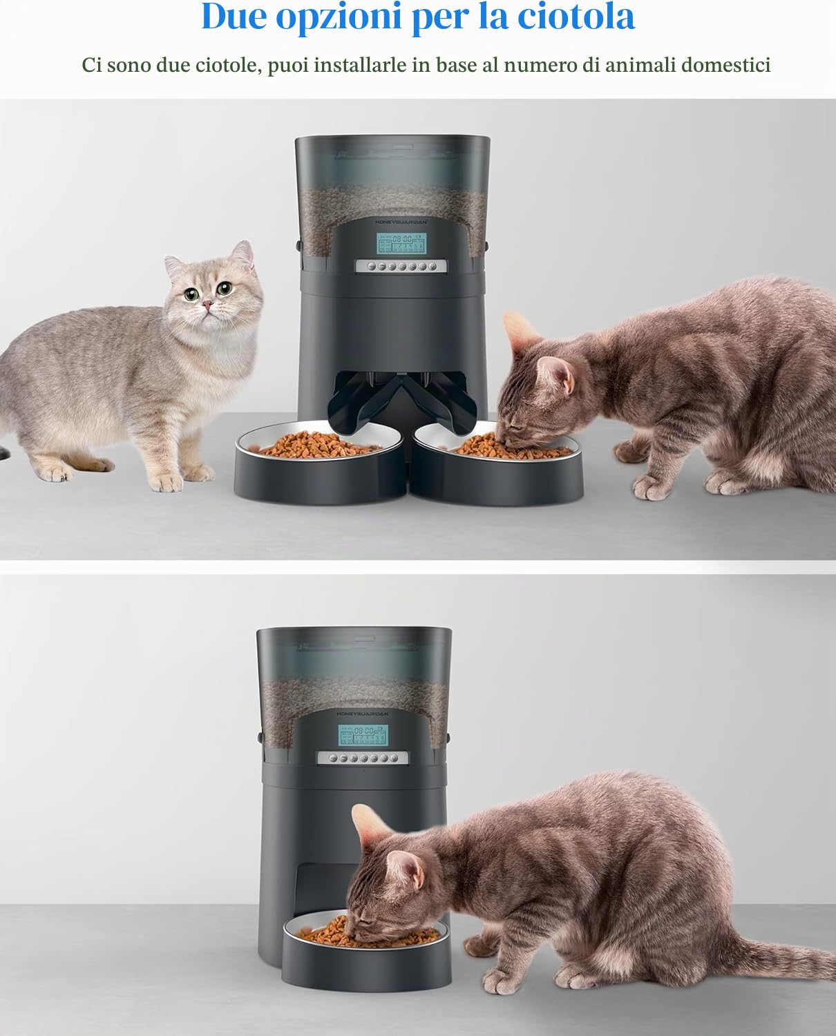 HoneyGuaridan Mangiatoia automatica per gatti 2 ciotole, 2.4G WiFi, distributore automatico intelligente per gatti e cani, 1-6 pasti al giorno (4,5L)