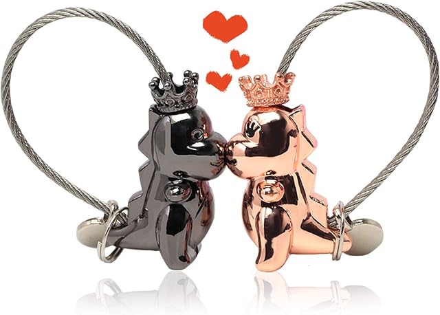 Couples Keyrings Set, Cute Dinosaur Keyring Magnetic Love Keychain with Gift Box Aluminum Alloy Couple Keychain Gifts for Boyfriend Girlfriend (Black and Rose Gold)