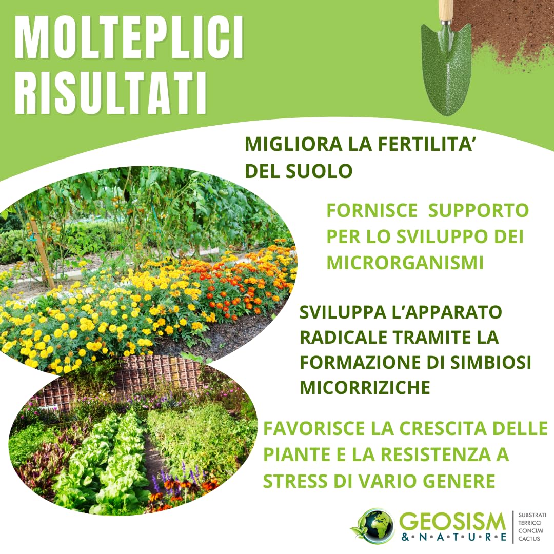 Geomicor Radicant Sólido, (5 kg), inóculo granular de hongos micorrízicos y bacterias rizosféricas para hortalizas, plantas y flores