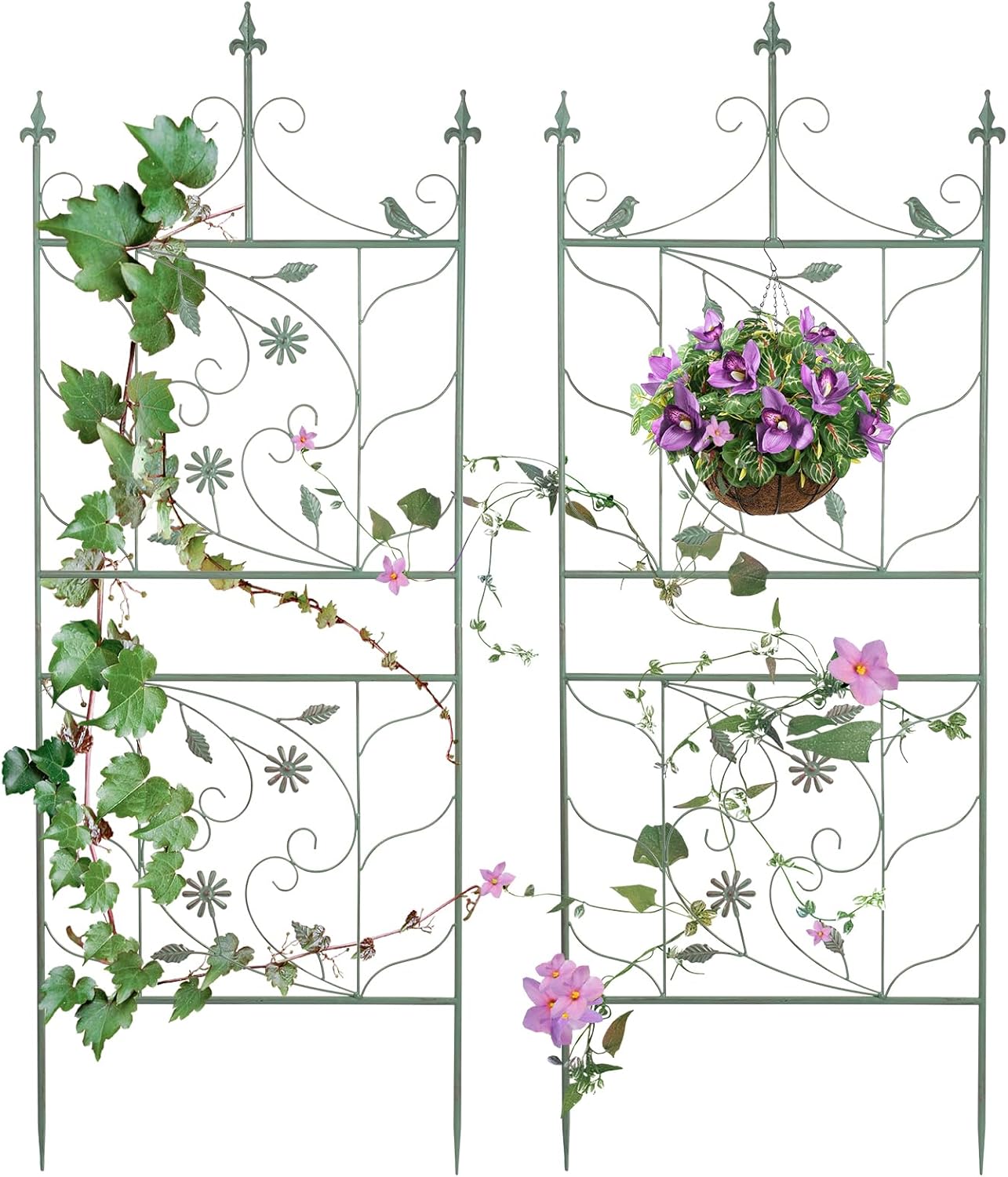 Plant Trellis for Climbing Plants Outdoor, 20" L x 54" H