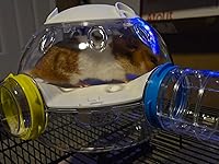 Review Image by Sarai Johnson Sarai Johnson