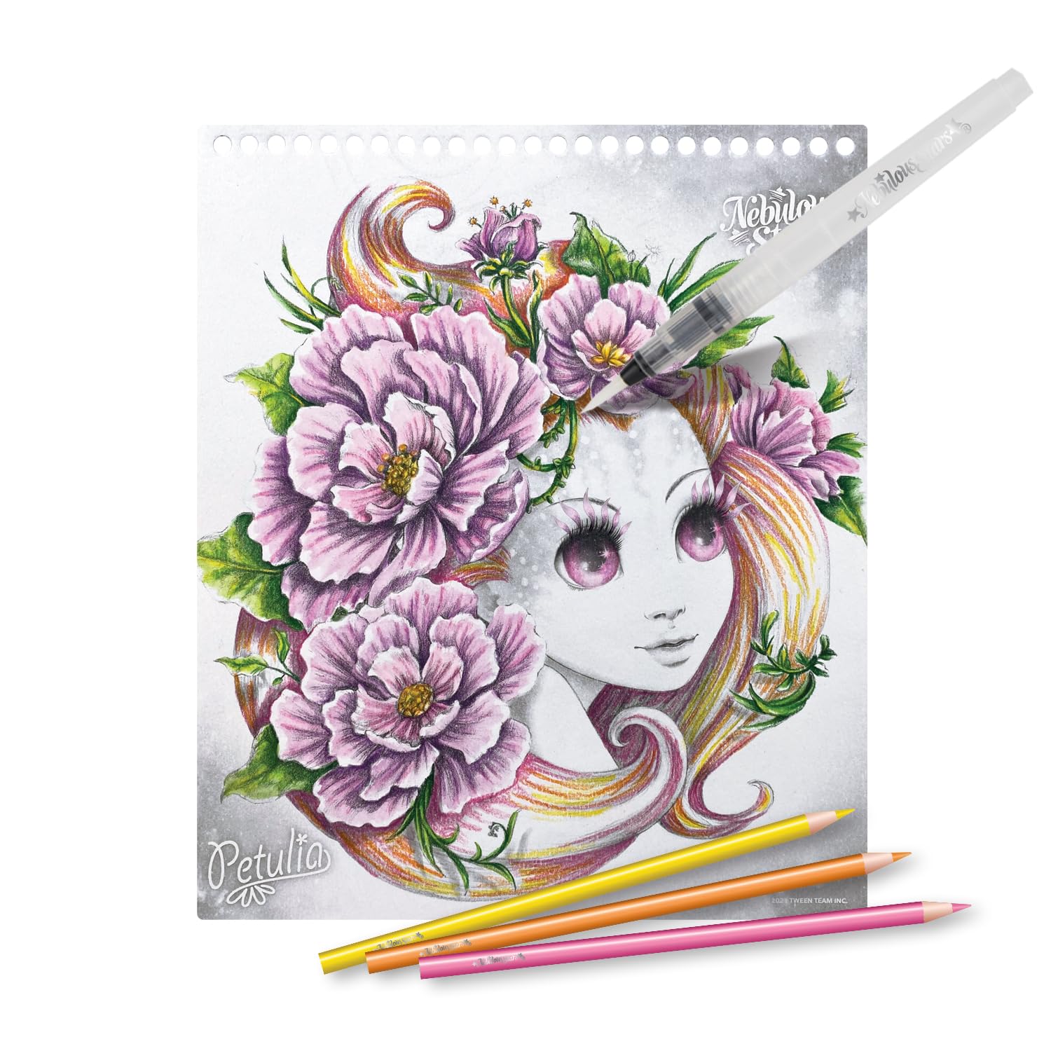 TOYNAMICS FRANCE SAS- Actividades manu (NS11133)