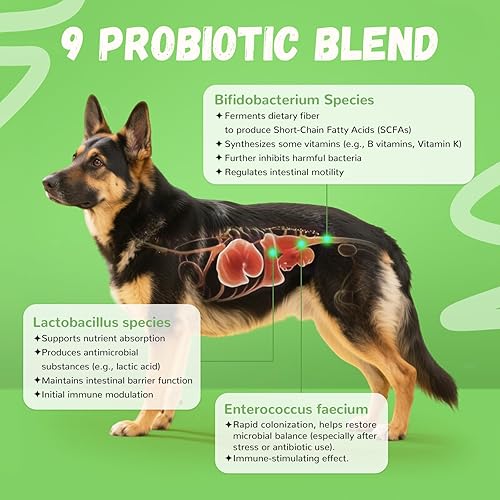 Miniatura 3 de Furrolika Probióticos para perros  Probióticos digestivos para la salud intestinal, apoyo inmunológico y alivio de la diarrea  Sabor a carne  60