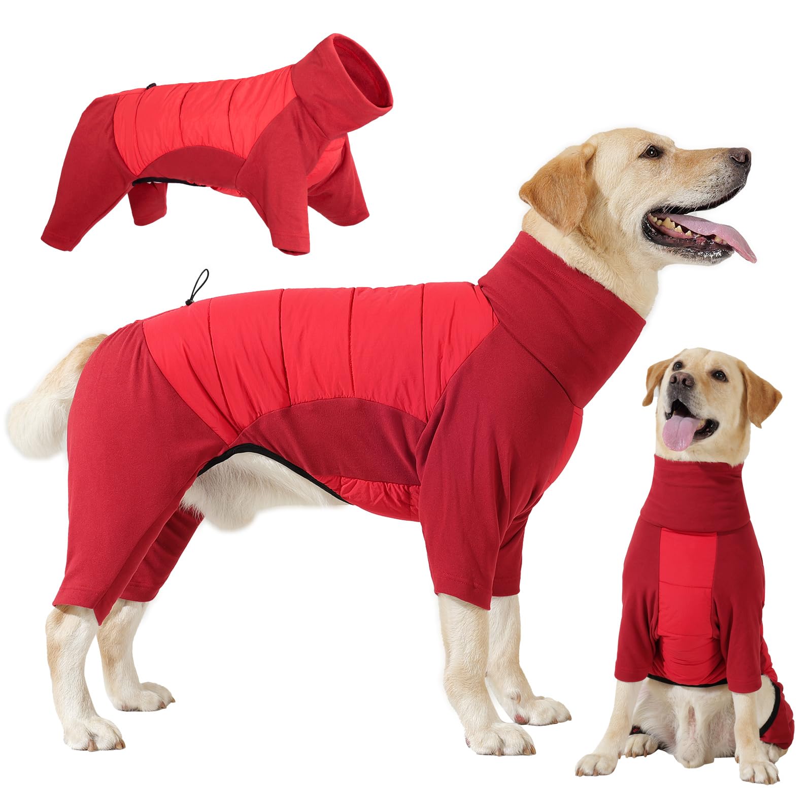 Dotoner Cappotto Impermeabile per Cane a 4 Zampe, Giacca Antivento Invernale con Materiale Elastico, Body Caldo con Passante per Guinzaglio, Pigiama Cani di Taglia Piccola Media e Grande
