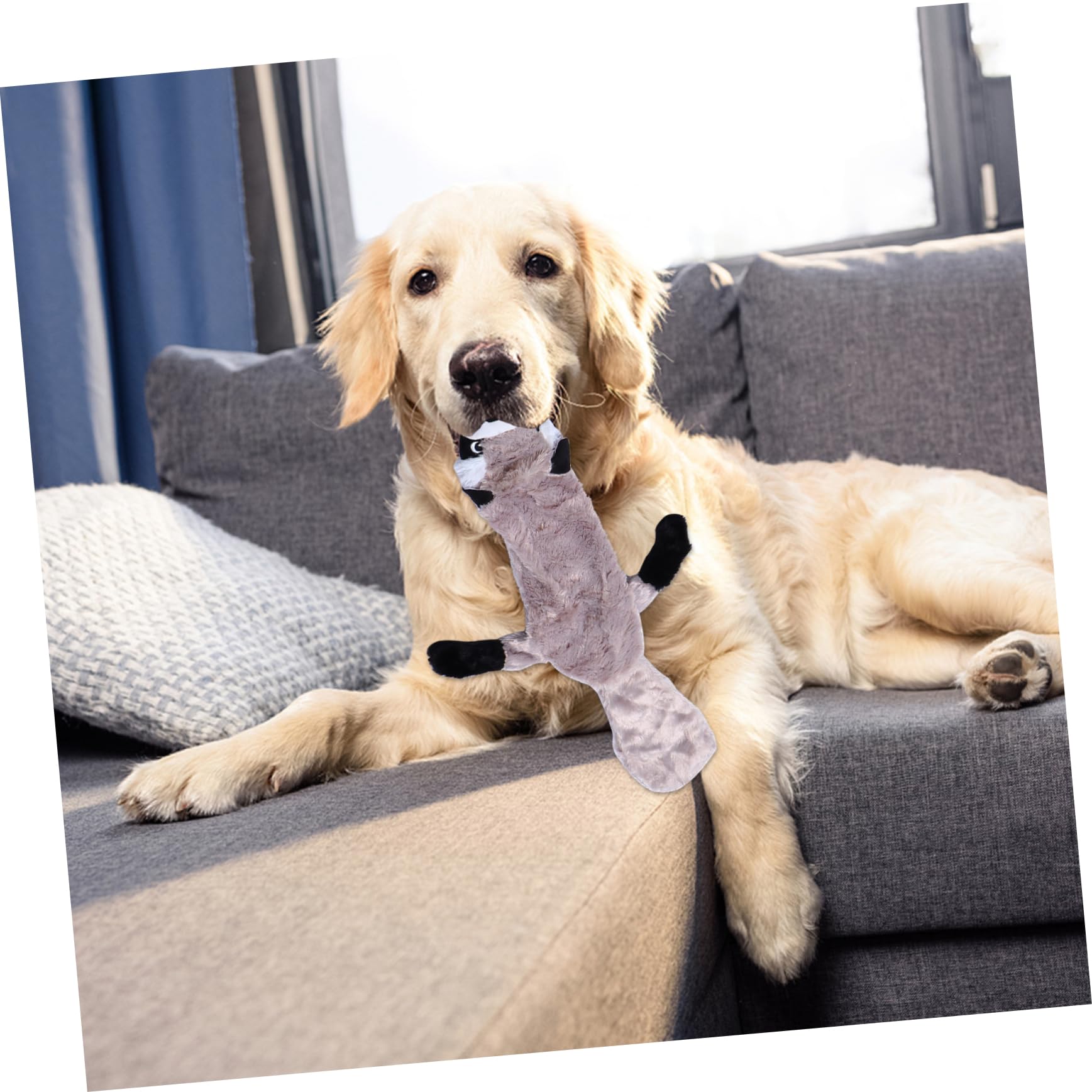 COLLBATH 6 Piezas Juguete Molar de Felpa Juguete para Mascotas Juguete para Masticar Perros Juguetes de Peluche Juguete para rechinar los de Perro Juguete de Peluche para Mascotas