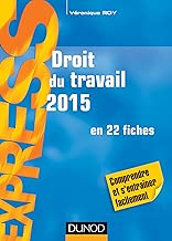 Download Droit du travail 2015 - 19e éd. - en 22 fiches PDF