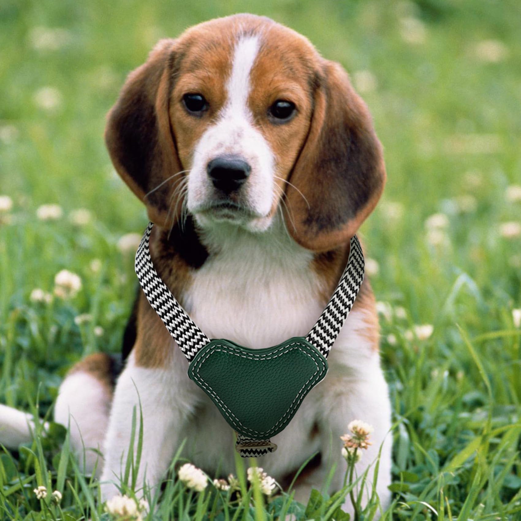 Dog Harness Genuine Leather Dog Harness With Leash Clips