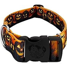 Country Brook Petz - Collier pour chien HossFit Jr Wide Deluxe - Collection Halloween avec des motifs effrayants (Midnight Fright, Extra Large)