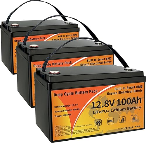 VEMDIA 3 Pack 12V 100Ah LiFePO4 Lithium Battery, Group 31 Low-Temp Protection Li