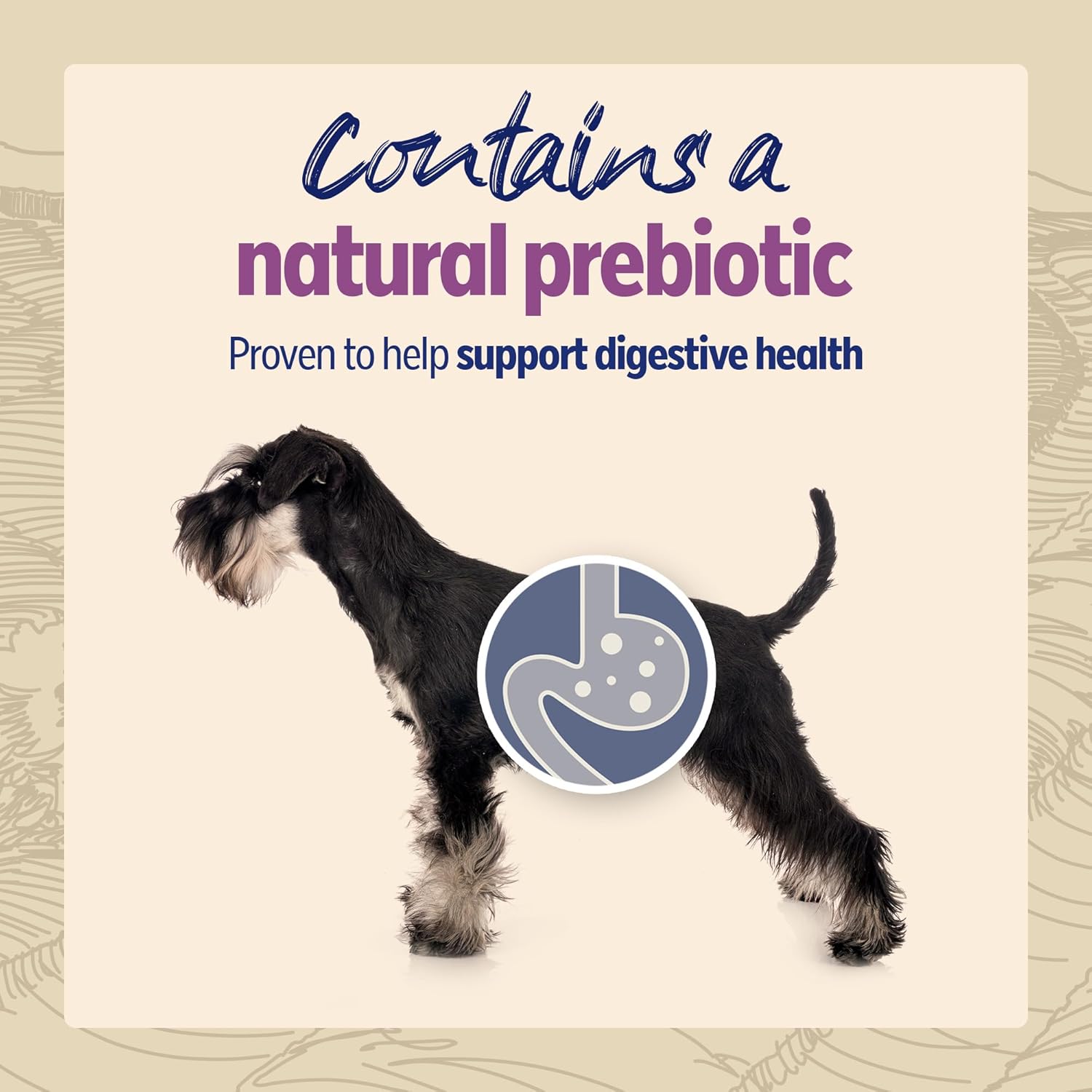 BETA Senior with Chicken, 14 kg