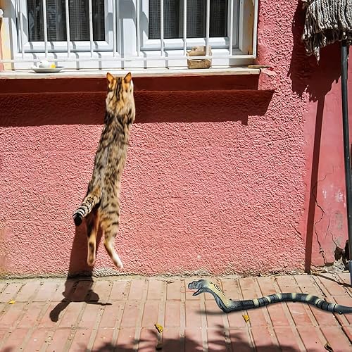 Miniatura 7 de UBITREE Juguete de serpiente con control remoto, recargable, juguete de serpiente realista a control remoto, Cobra, serpiente falsa eléctrica,