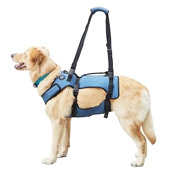 COODEO Dog Lift Harness, Support & Recovery Sling, Pet Rehabilitation Lifts Vest Adjustable Breathable Straps for Old, Disabled, Joint Injuries, Arthritis, Paralysis Dogs Walk (XLarge)