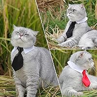 Vista 4 de 8 piezas de gafas de sol para mascotas, perro, gato, corbatín para mascotas, disfraz de mascota, collar formal ajustable para gatos, perros