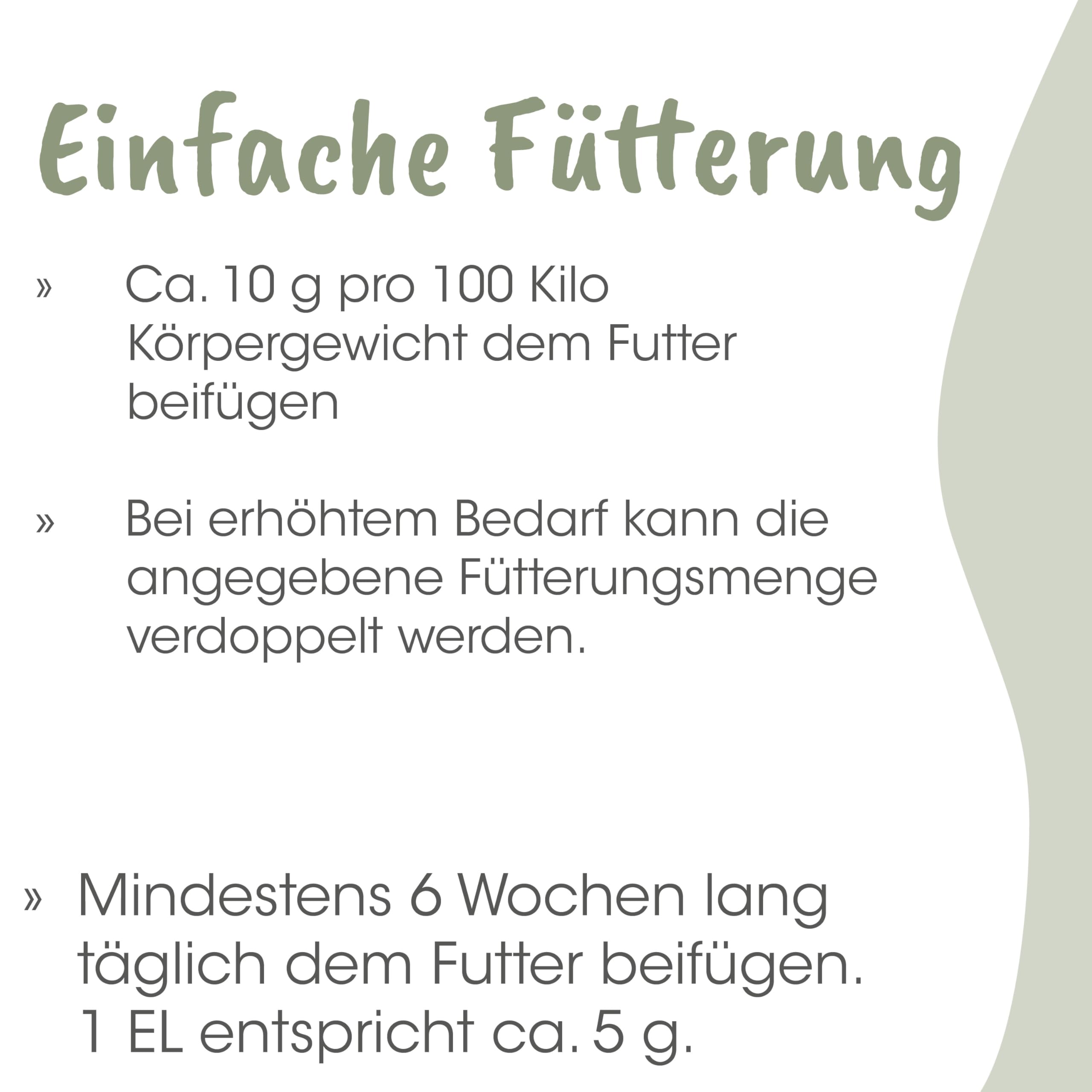 EquiGreen Magenschutz