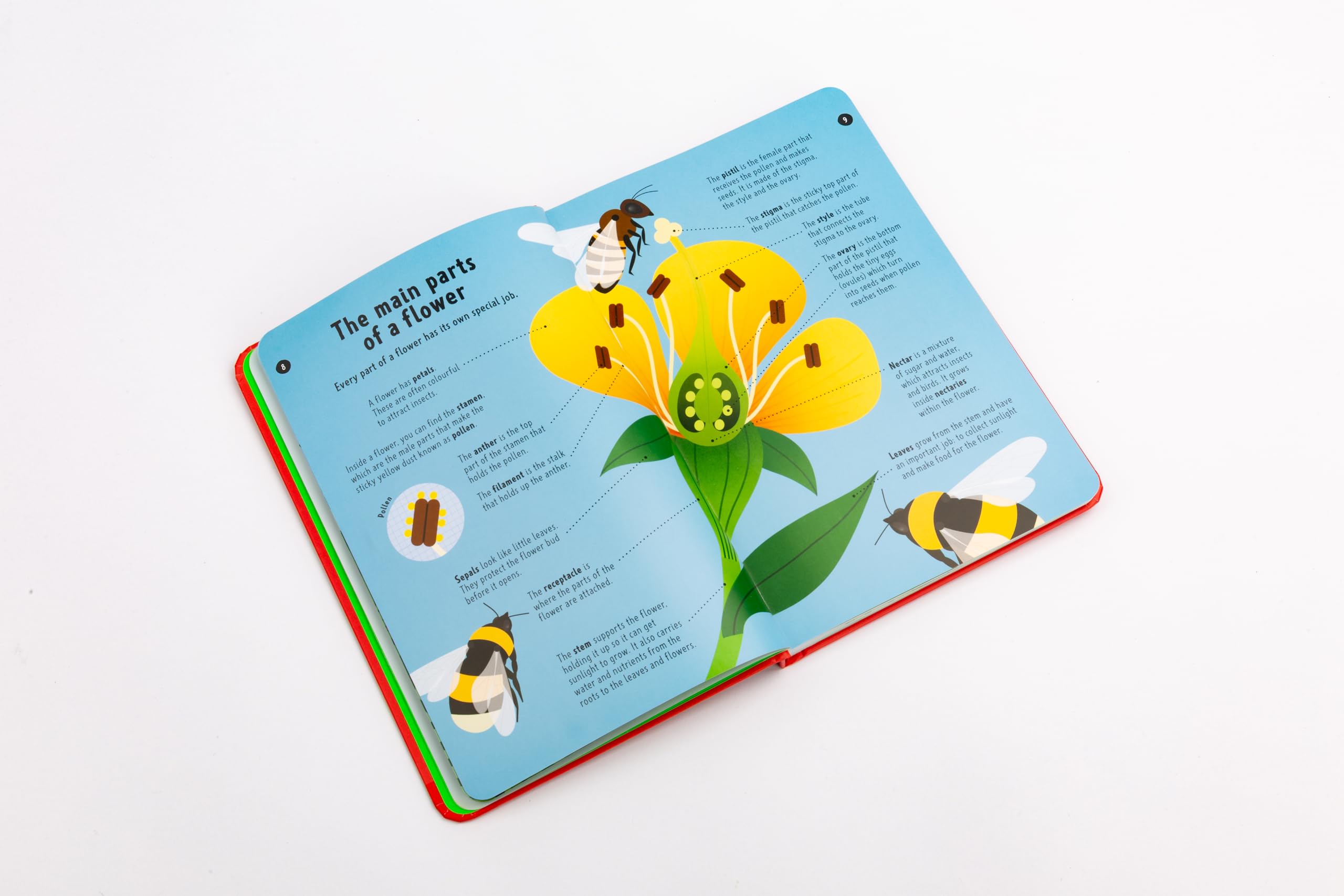National Trust: Out and About: Wildflower Spotter: A children's guide to 65 different wildflowers