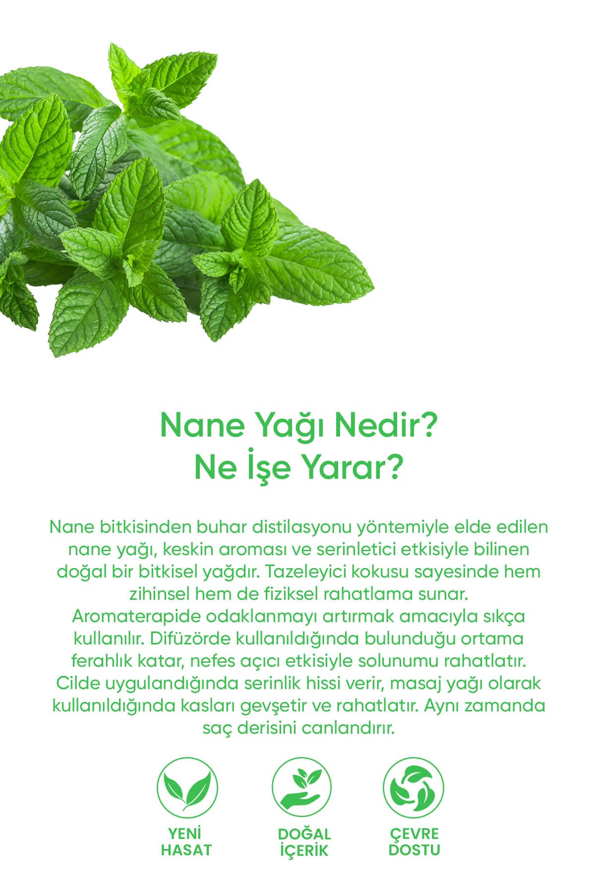 Nane Yağı%100 Saf - Ferahlatıcı, Canlandırıcı ve Arındırıcı Serum 20 Ml