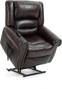 Amazon.com: Merax Leather Recliner Chairs, Dual Motor Power Lift