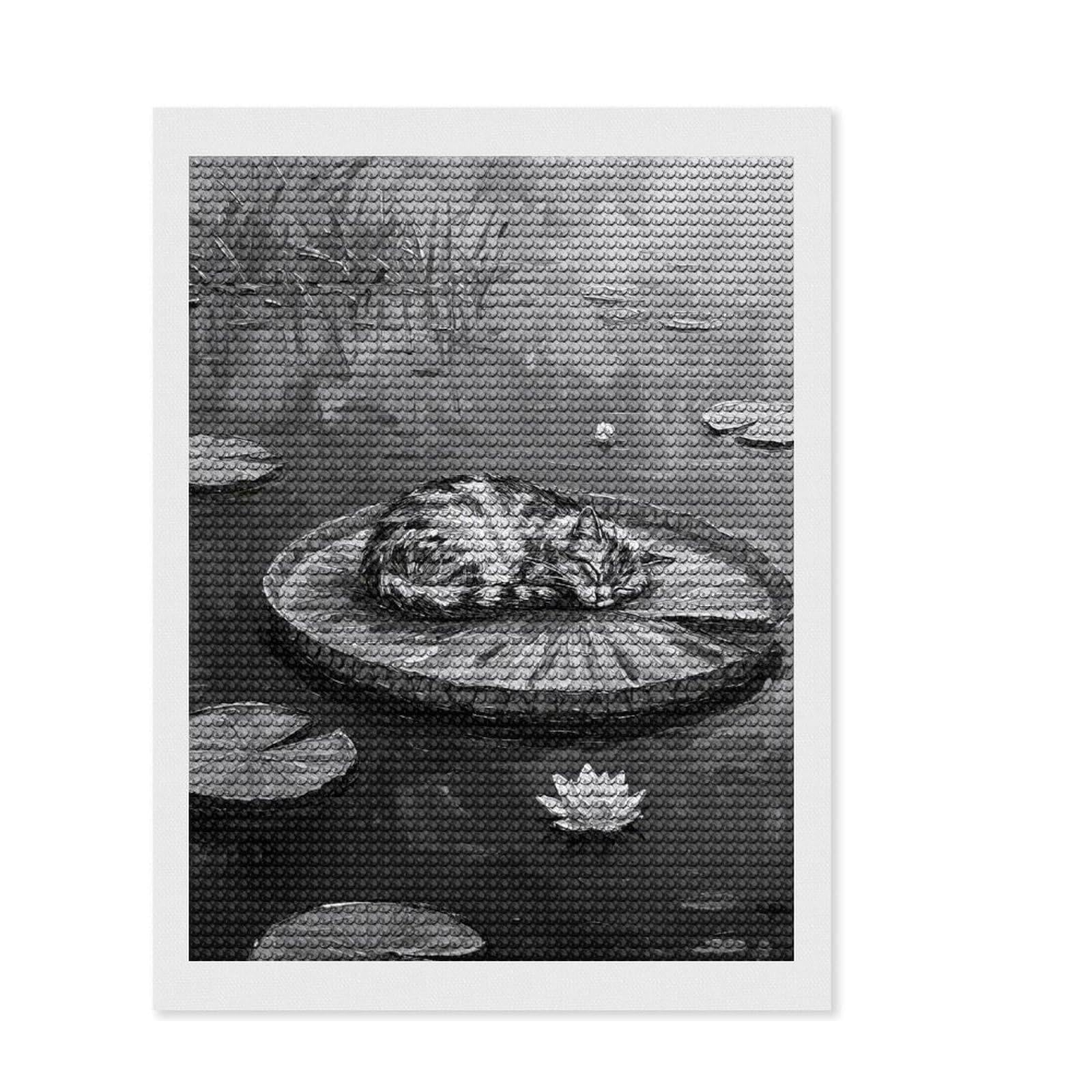 Junmoney Cat Nap on Lily Pad Painting Diamond Art Canvas 12"x16", Stress Relief Craft, Neat Printed Canvas, Modern Decor, for Family Craft Time