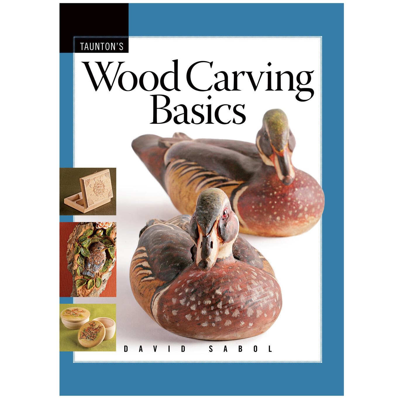 Wood Carving Basics (Fine Woodworking DVD Workshop)