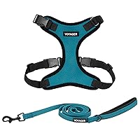 Voyager - Pettorina per cani Step-in Lock con guinzaglio riflettente per cani