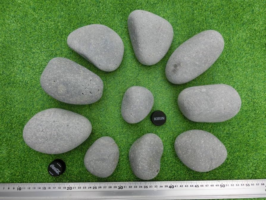 Amazon.co.jp: 青海薬石 5,620g 糸魚川 最強の薬石 おうみ薬石