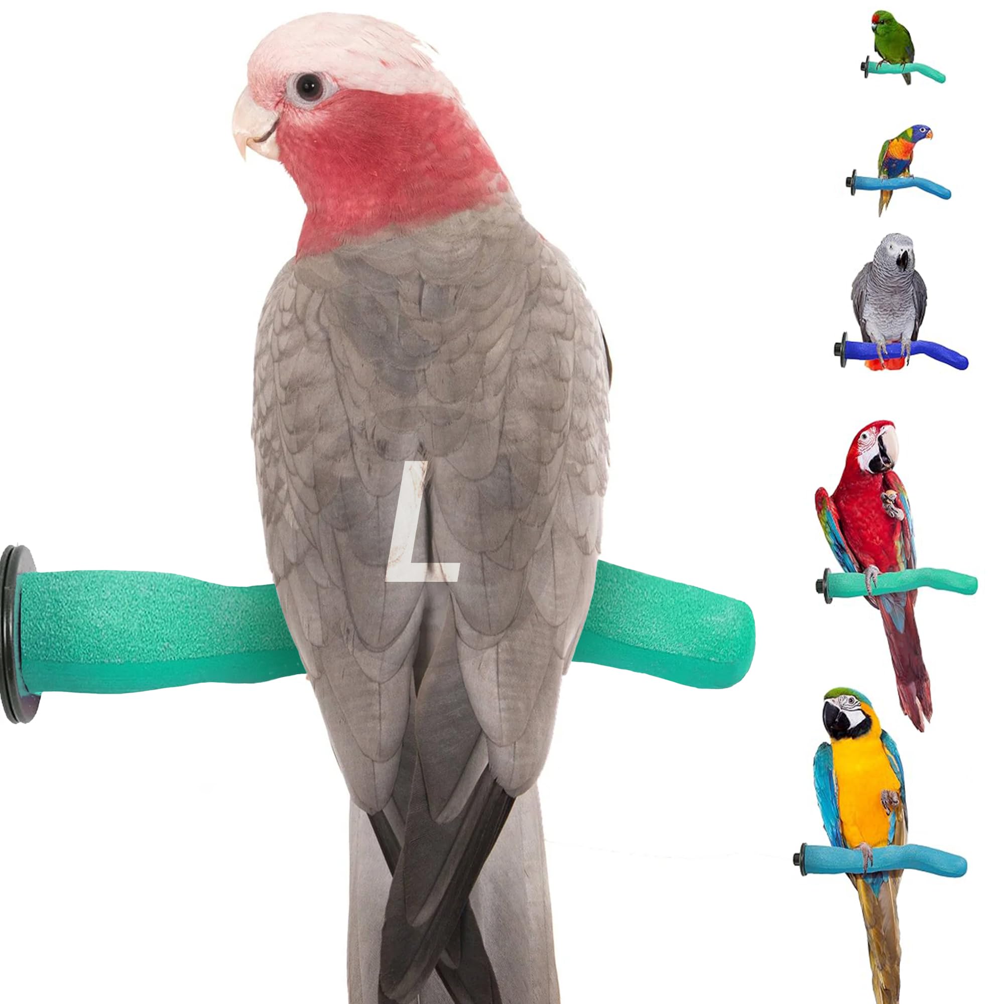 Sweet Feet and Beak Bezpieczny pumeks zabawka dla ptaków, przycina gwoździe i dziób, wspomaga zdrowe stopy, bezpieczne, nietoksyczne artykuły dla ptaków do klatek dla ptaków, duże, 31 cm
