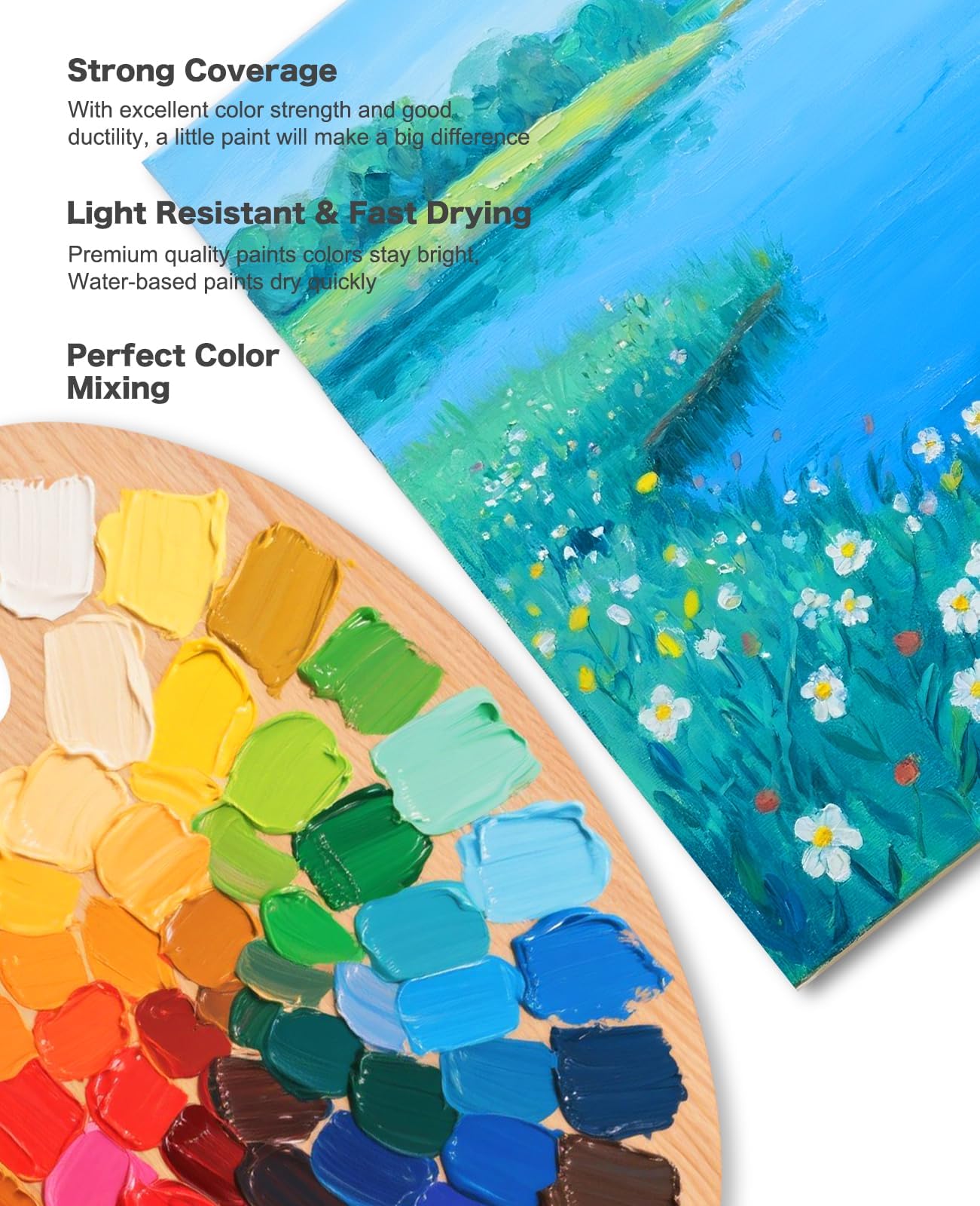 50 Color Acrylic Paint Set - Artist Quality Paints -2