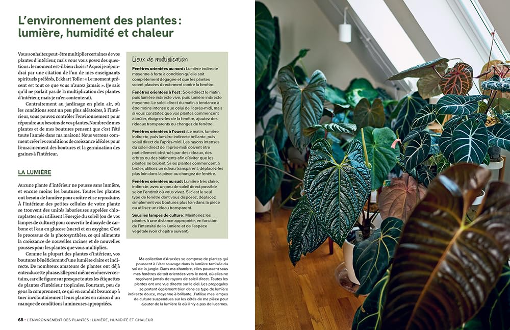 Le guide de la multiplication des plantes d'intérieur - Toutes les techniques pour en prendre soin et les multiplier à l'infini