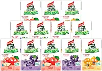 Kit Sucos Sortidos Maguary 100% Fruit Shoot 150ml