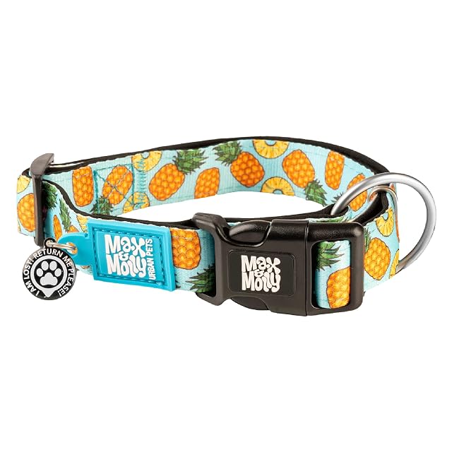 MAX & Molly - Collar para Perro y Cachorro con Hebilla eléctrica, Estilo Divertido para Perros pequeños…