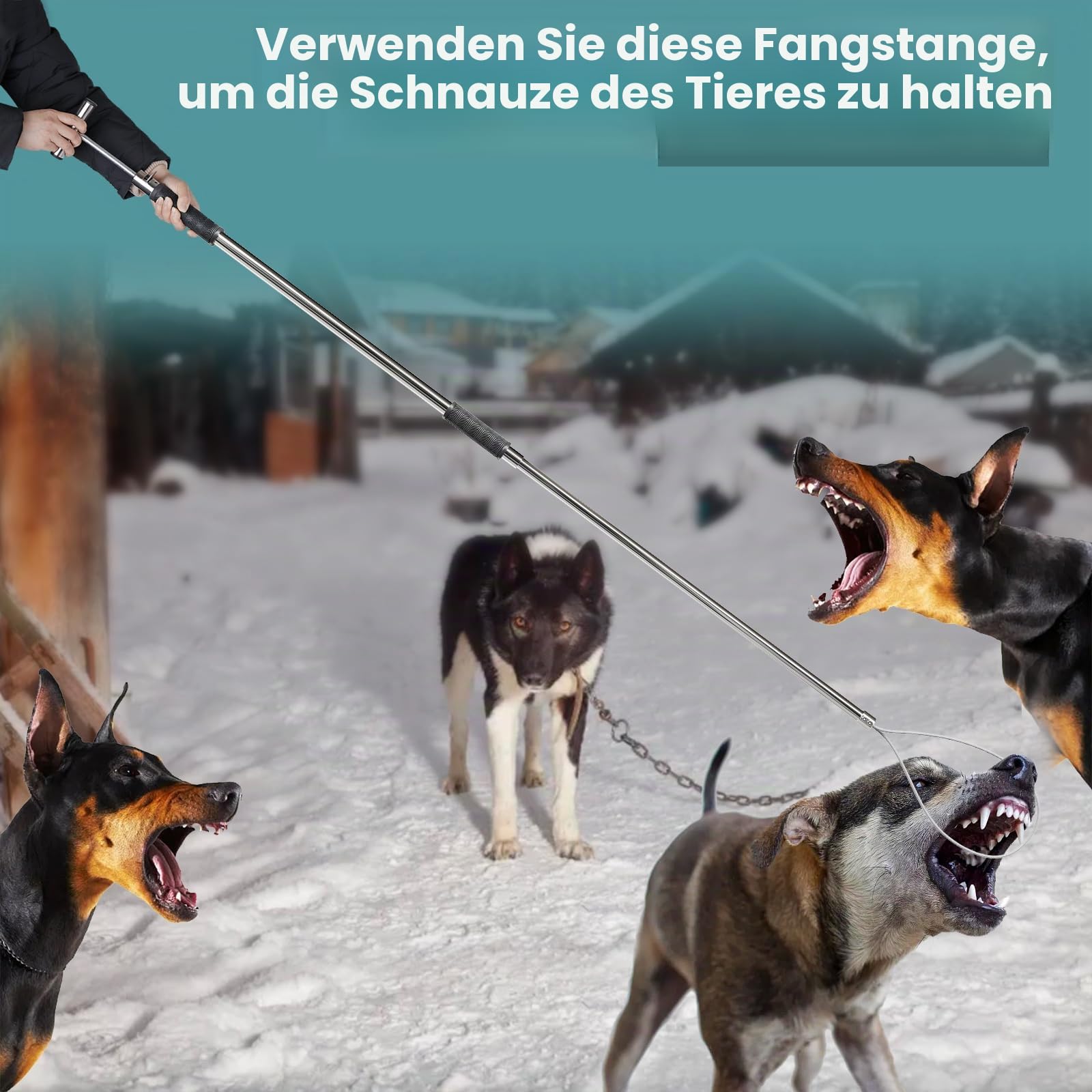 155 cm großer Hundefänger, tragbar, Schweinefänger, Tierkontrolle, Werkzeug, Edelstahl, Schweinehalter, Fangstange für Hunde, Nutztiere, Bauernhofgeräte