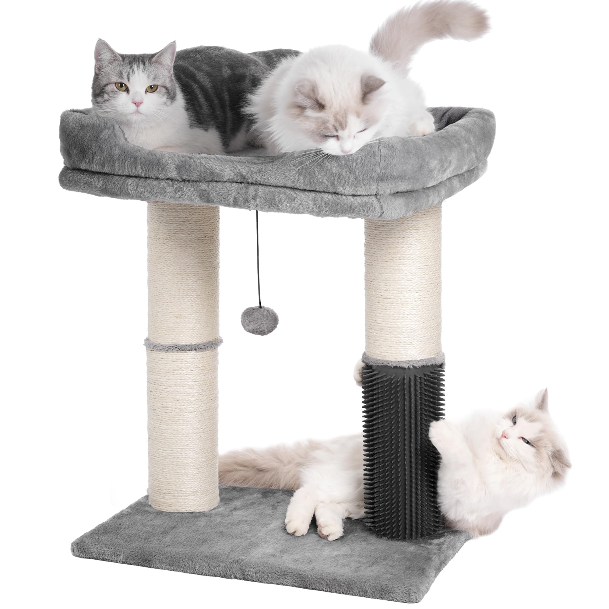 Go to store page for "Short Cat Tree for Large Cats".