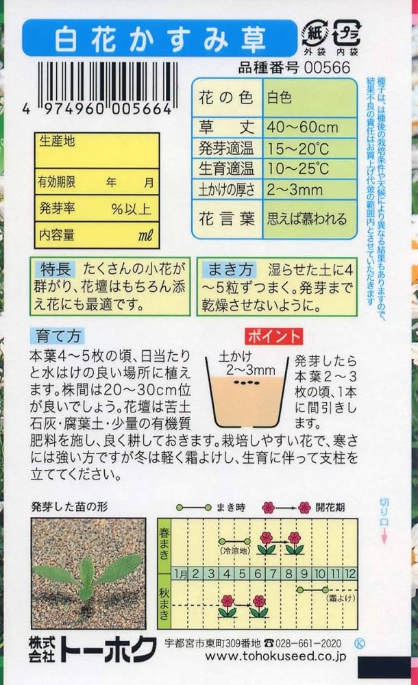 Amazon | 株式会社トーホク 白花かすみ草 00566 | 野菜