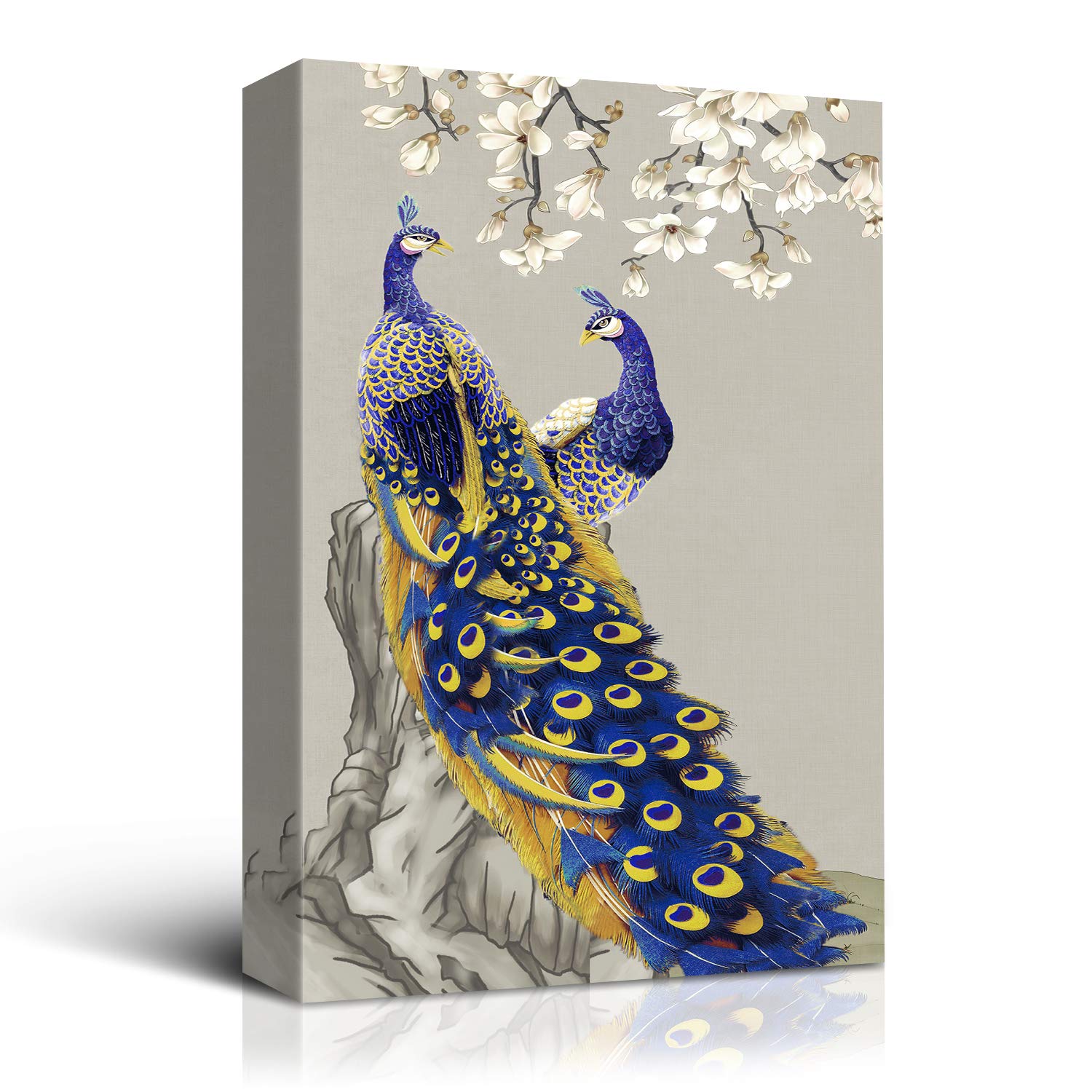画材 Peacockesque Amazon.com: Peacock Paint by Numbers for Adults, Canvas for